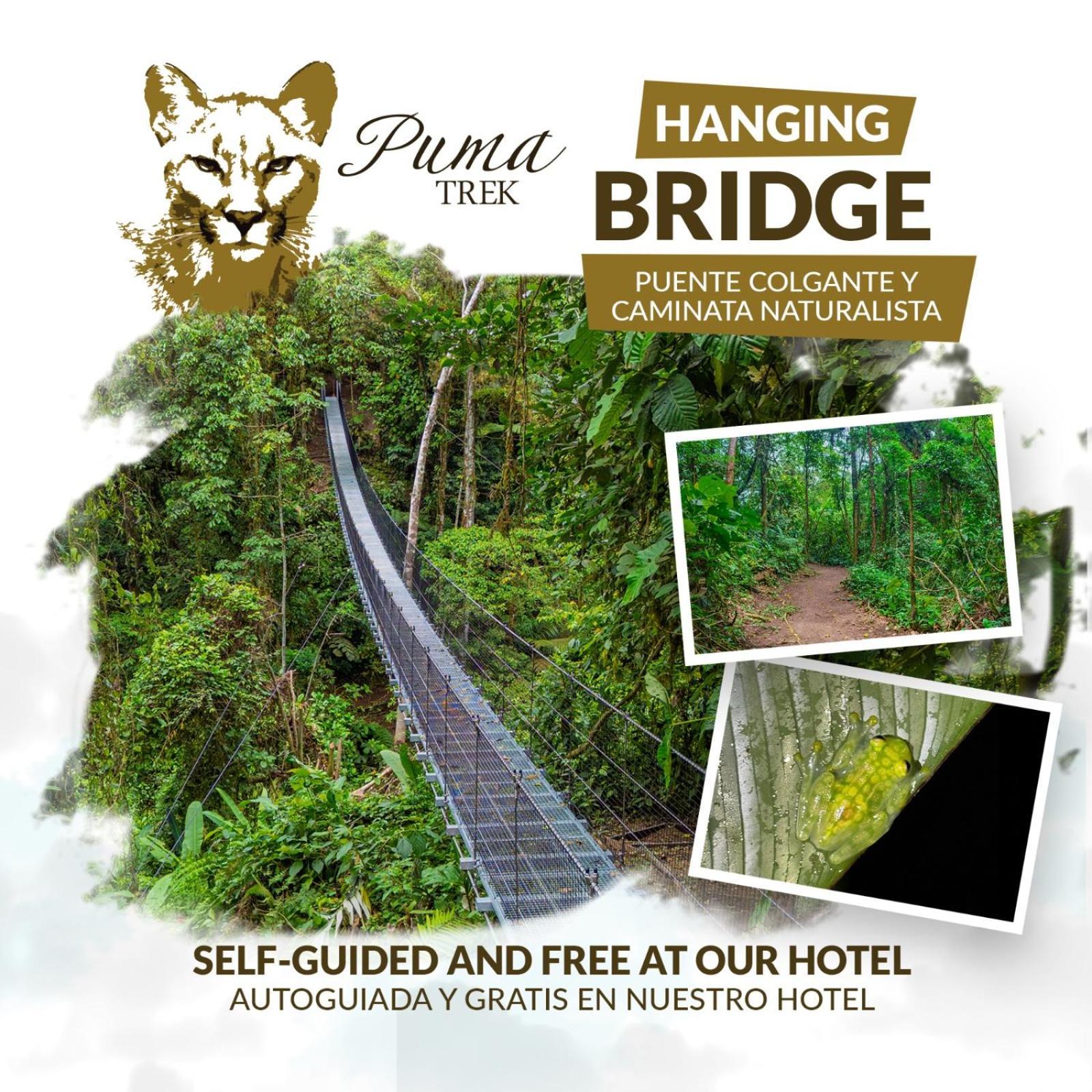 La Fortuna Lost Iguana Resort And Spa מראה חיצוני תמונה